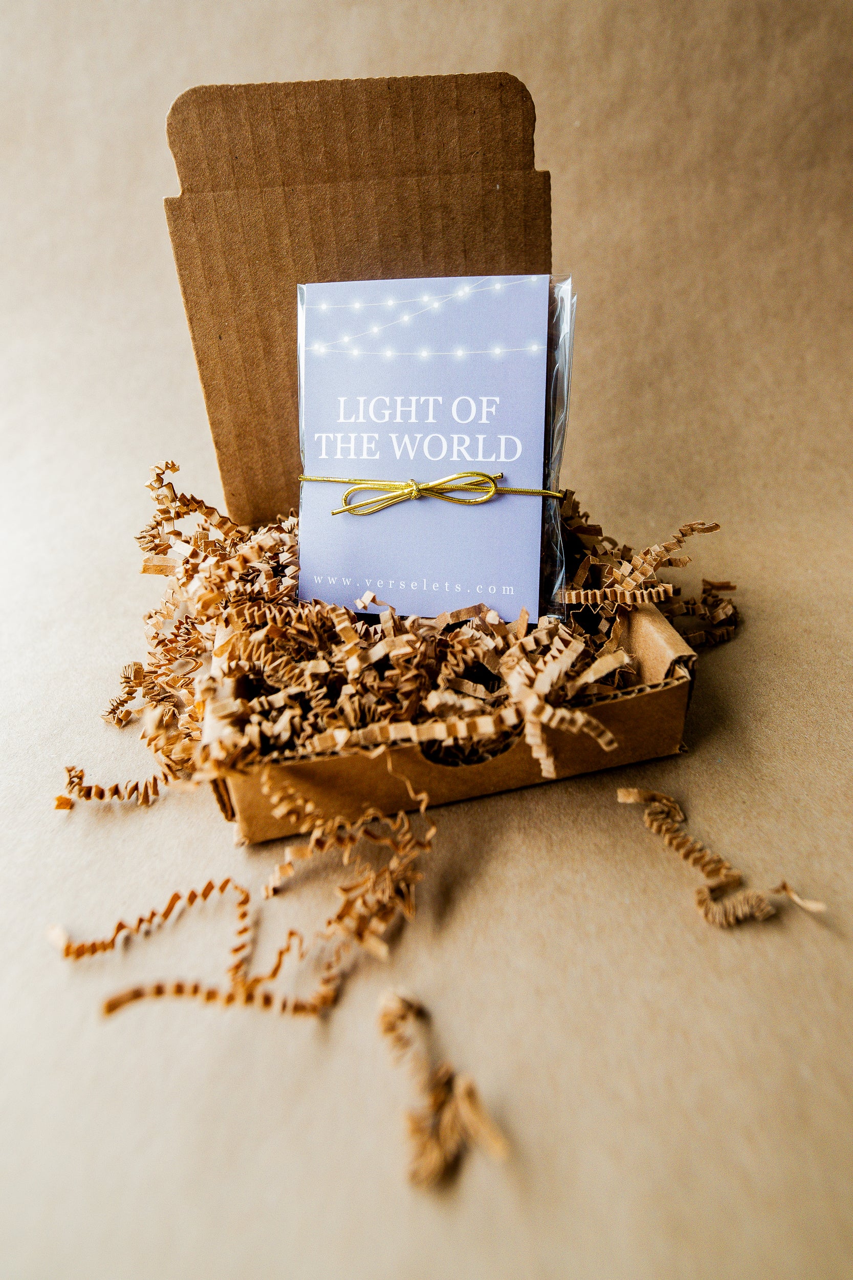 Light of the World Bundle