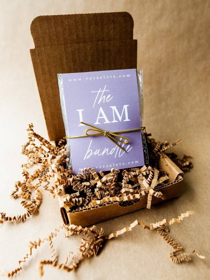 I AM Bundle: The Truth of Jesus in Seven Promises