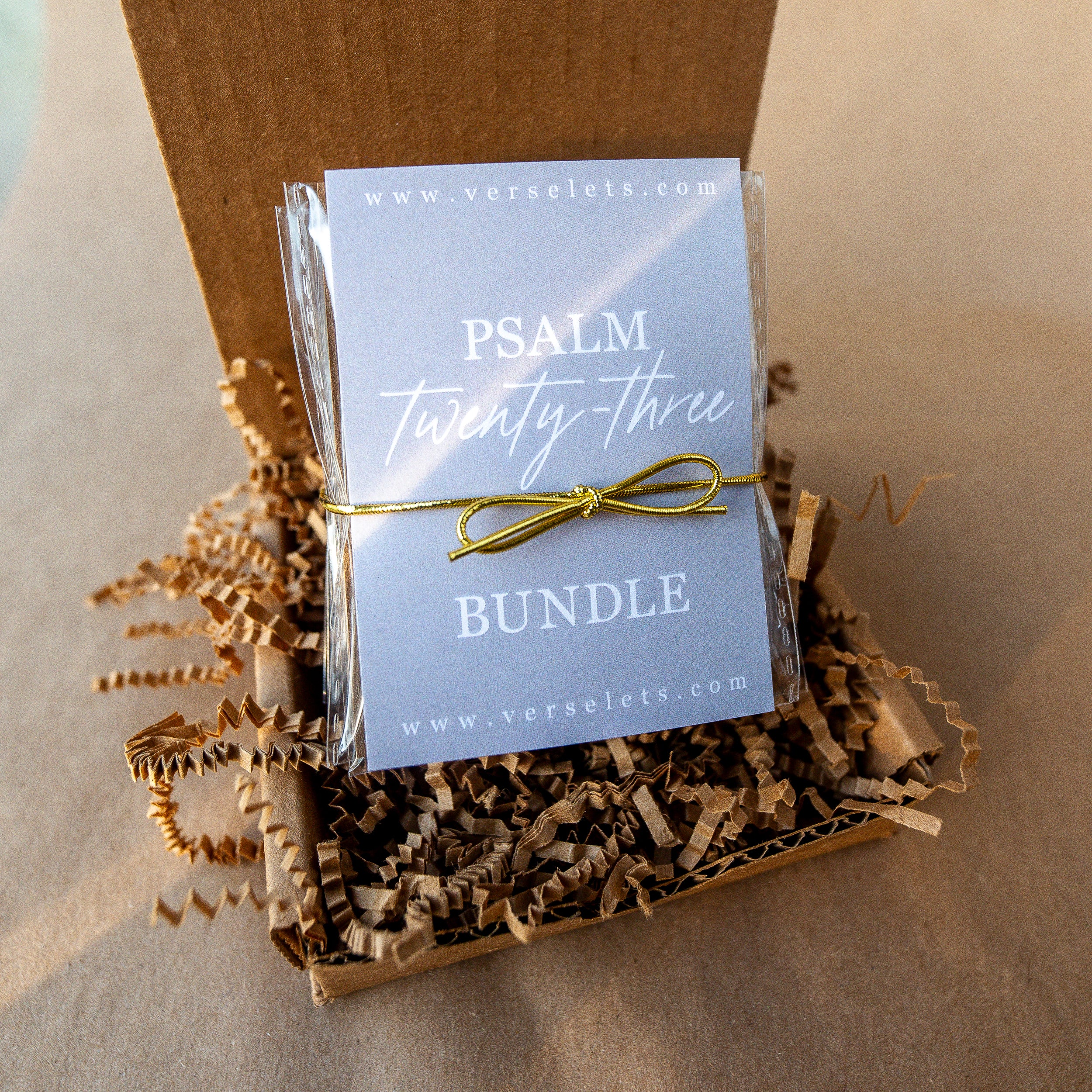 Psalm 23 Bundle: Surrounded by our Shepherd